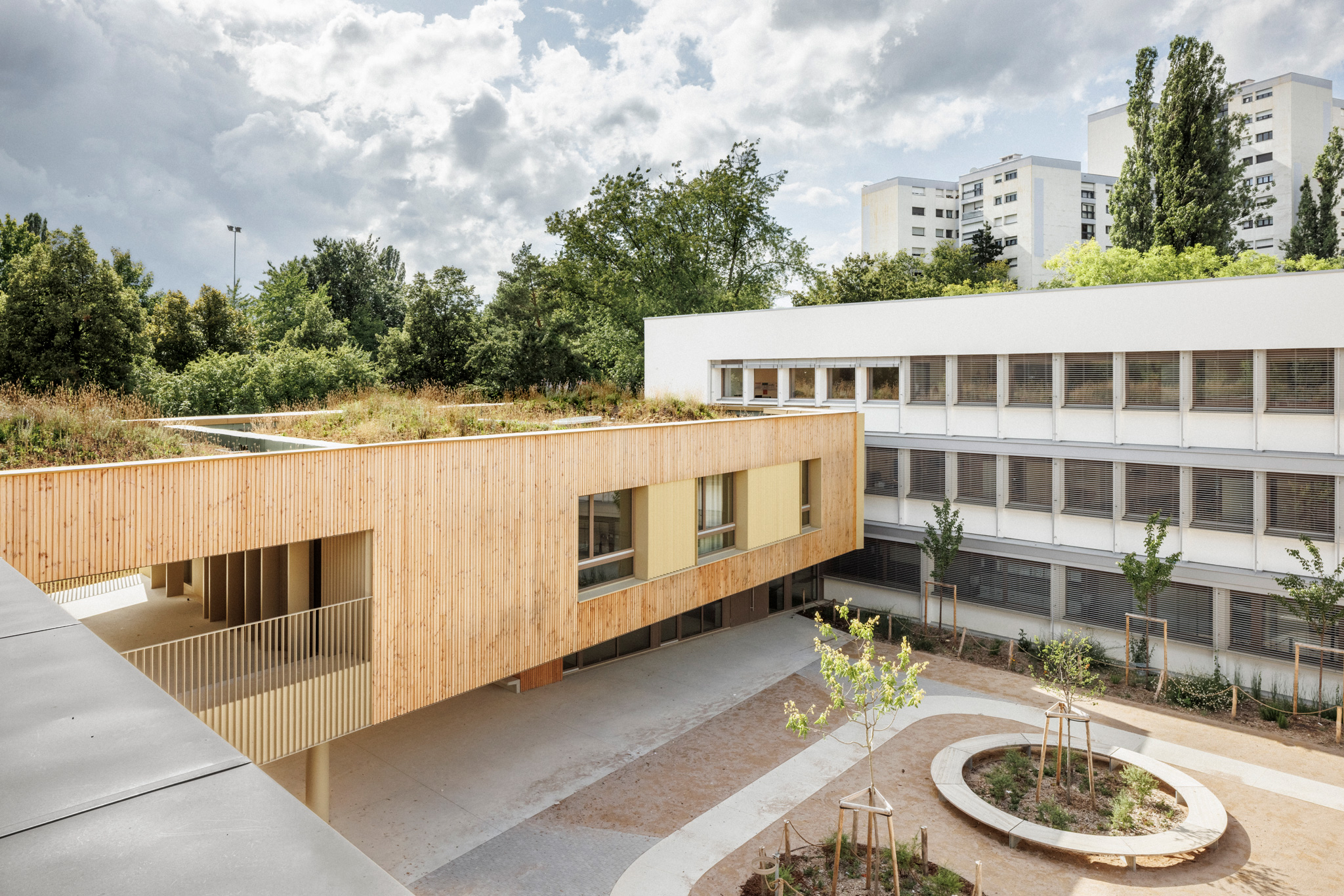 Photo - DWPA_GS_CLAIRE_ROMAN_HD-18